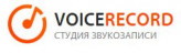 Voice record avatar